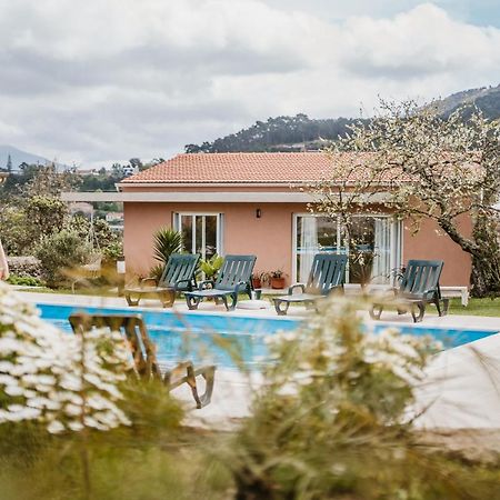 Forno House - Ameixoeira Vila Praia de Âncora Екстериор снимка