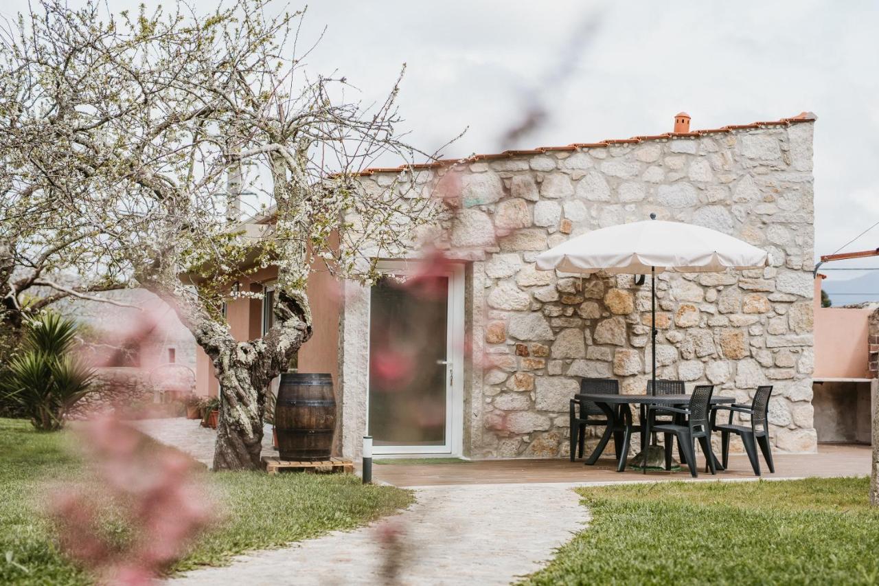 Forno House - Ameixoeira Vila Praia de Âncora Екстериор снимка